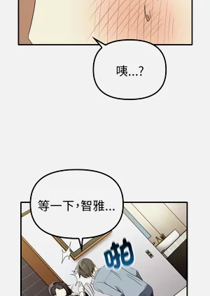 第425頁圖