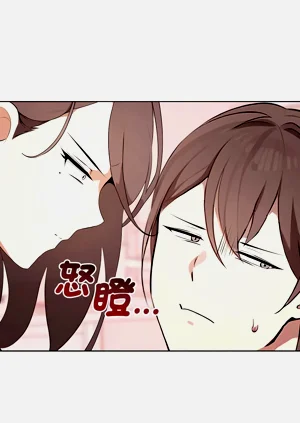 第490頁圖
