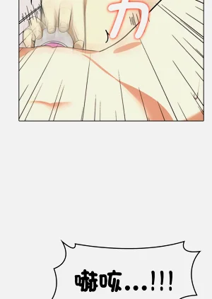 第555頁圖
