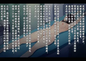 第169页图