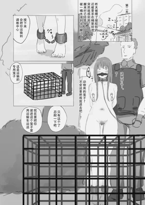 第17页图