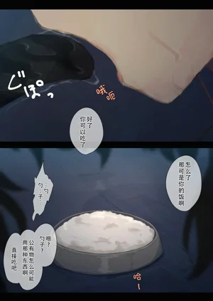 第255页图