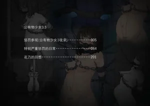 第497页图