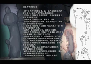 第542页图