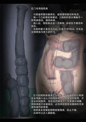 第543页图
