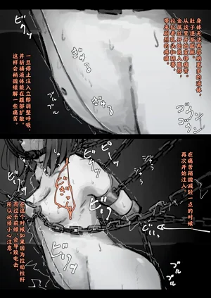 第594页图