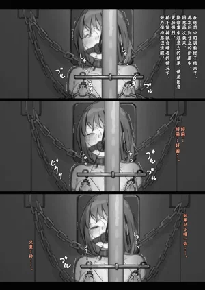 第617页图