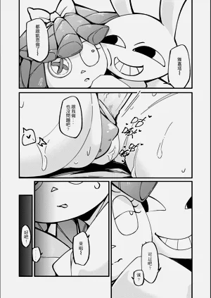 第17頁圖