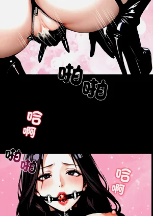第211頁圖