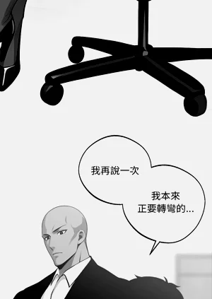 第238頁圖