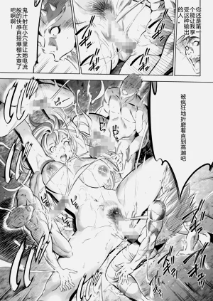 第249页图