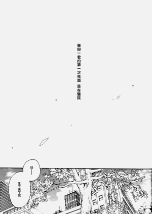 第222頁圖