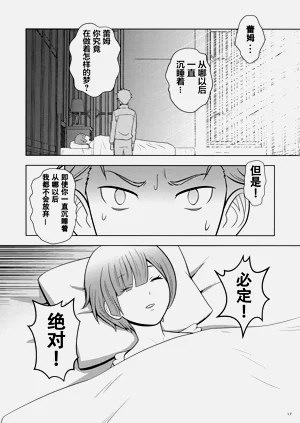 第17页图