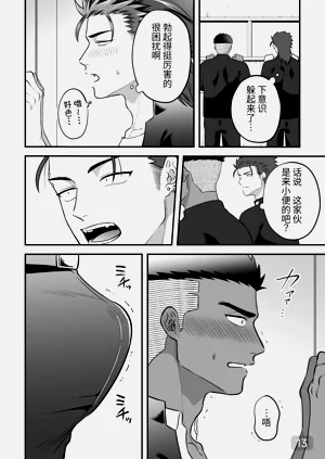 第13页图