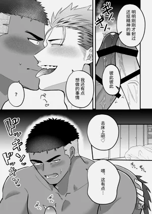 第30页图