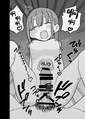 第31頁圖