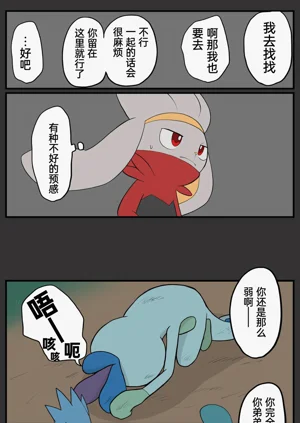 第219頁圖