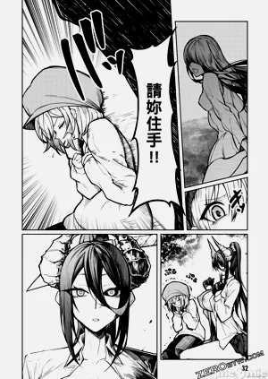 第33页图