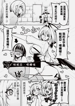 第333页图