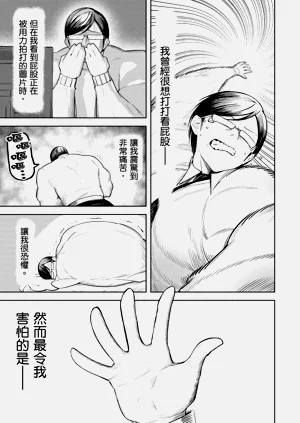 第31頁圖
