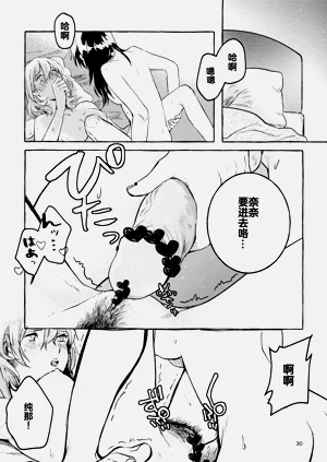 第29頁圖