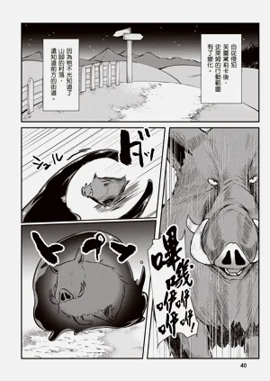 第42页图