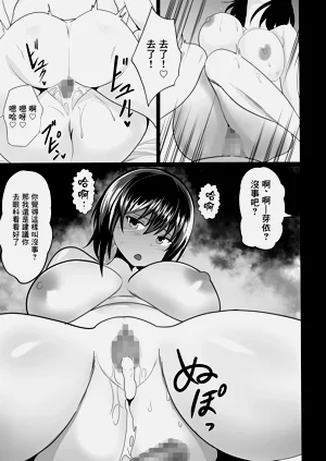 第246頁圖