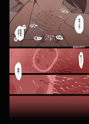 第13頁圖