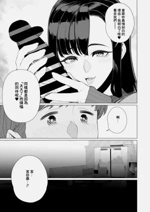 第411頁圖