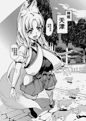 第221頁圖