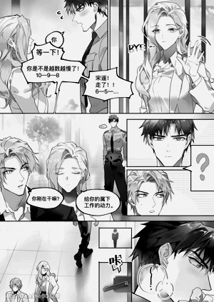 第11页图