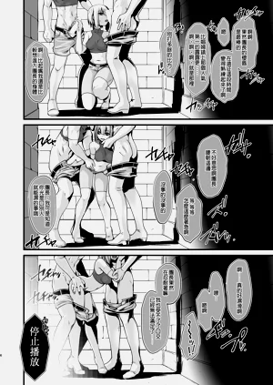 第109頁圖