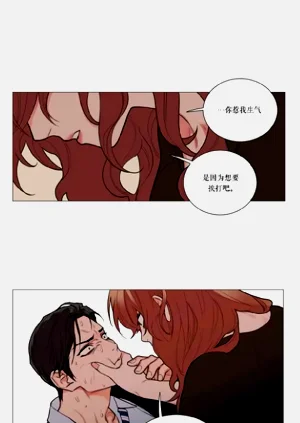 第153頁圖