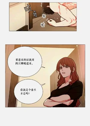 第156頁圖