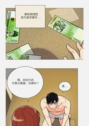 第219頁圖