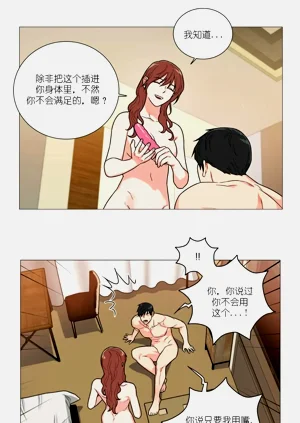 第225頁圖