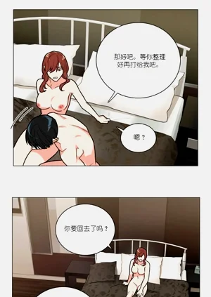 第240頁圖