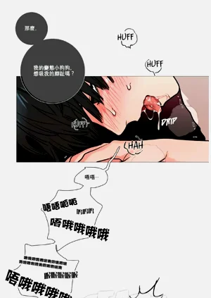 第26頁圖
