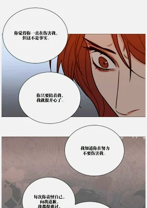 第275頁圖