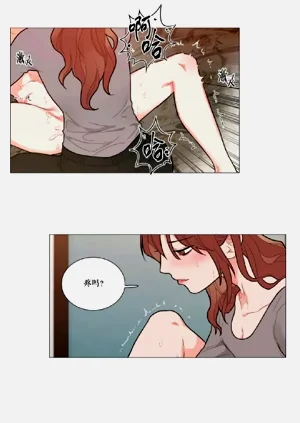 第193頁圖