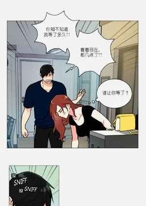 第242頁圖