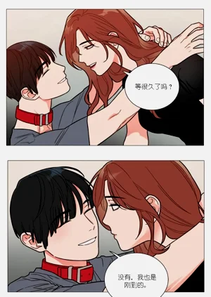 第244頁圖