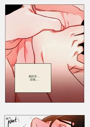 第246頁圖