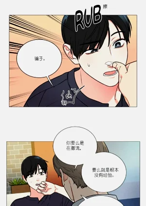 第251頁圖