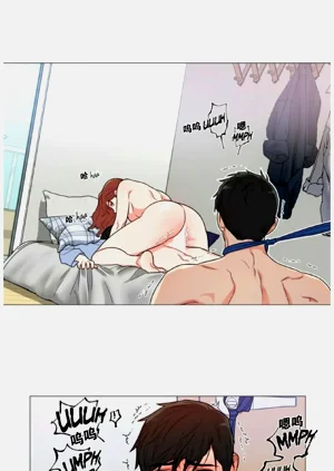 第288頁圖