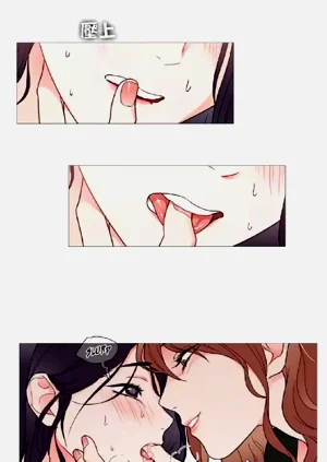 第95頁圖