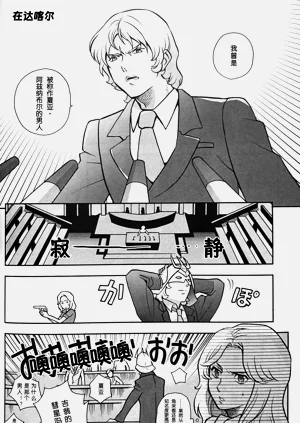 第17页图