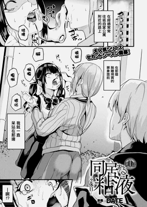 第204頁圖