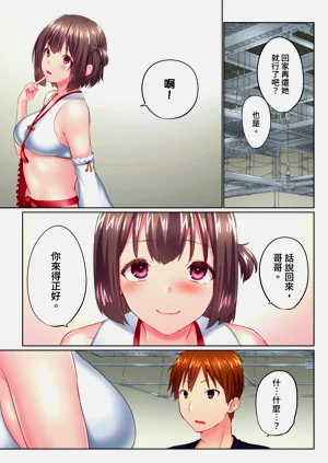 第295頁圖