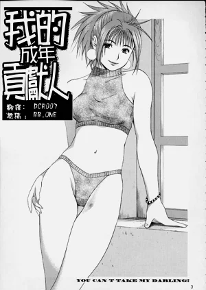 第2頁圖